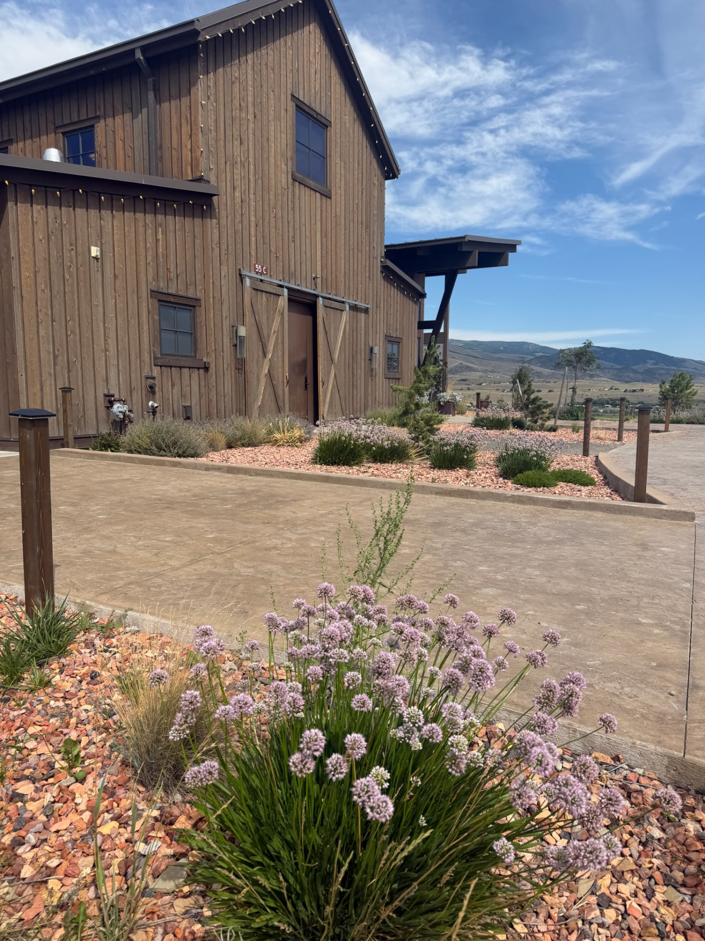 A weathered wooden barn with lavender blooms along a concrete path
