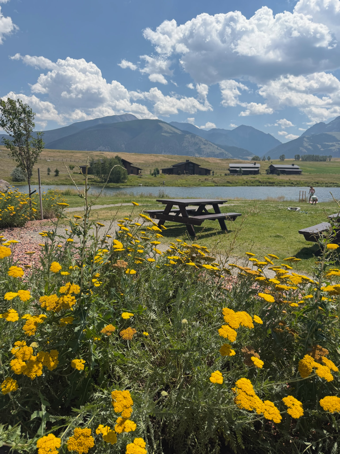 Yellow wildflowers in bloom in front of a lake and mountain peaks