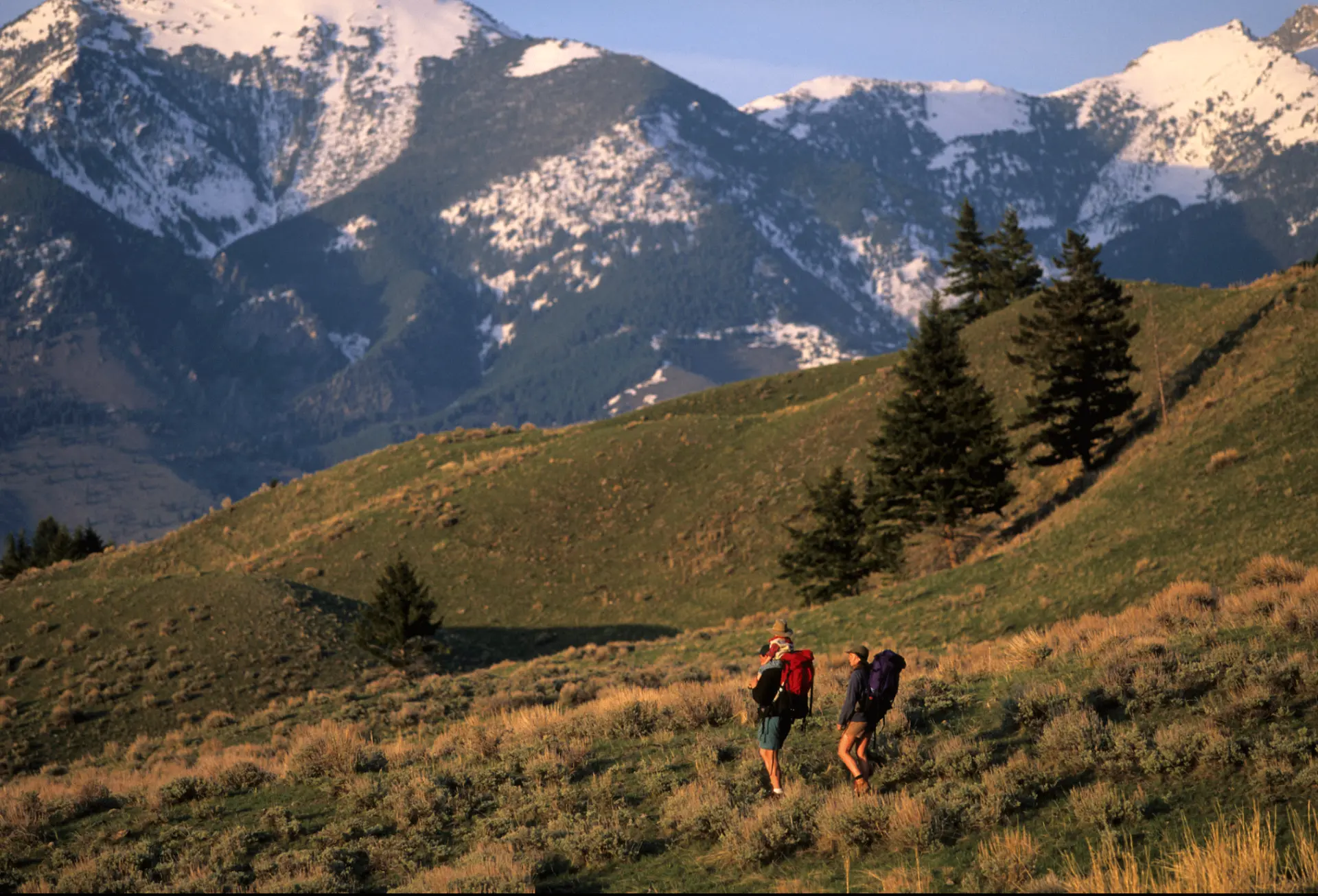 Hikers on a mountain trail in Montana