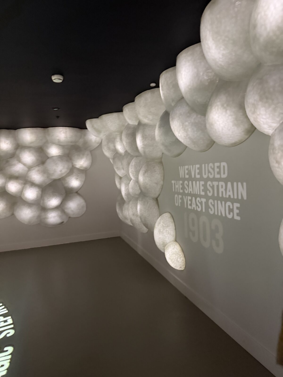 Glowing yeast installation inside the Guinness Storehouse