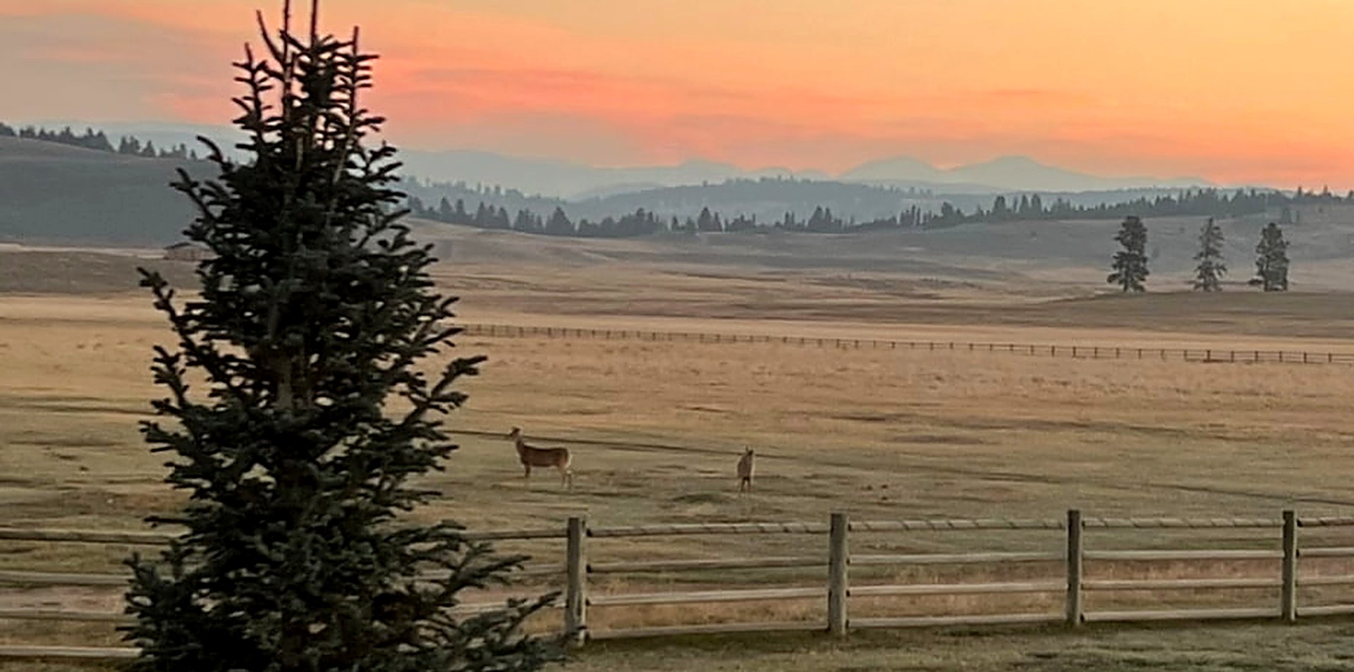 Montana: Where the West Still Feels Wild