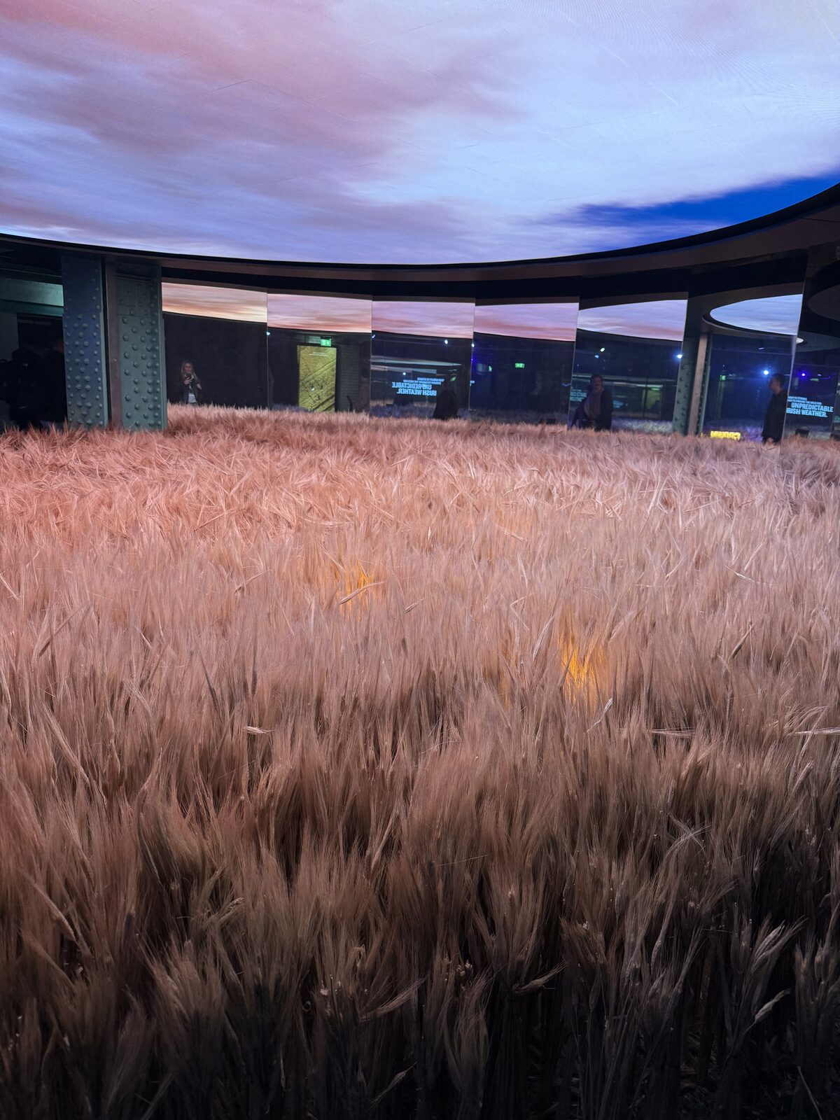 Barley field exhibit under a painted sky at the Guinness Storehouse