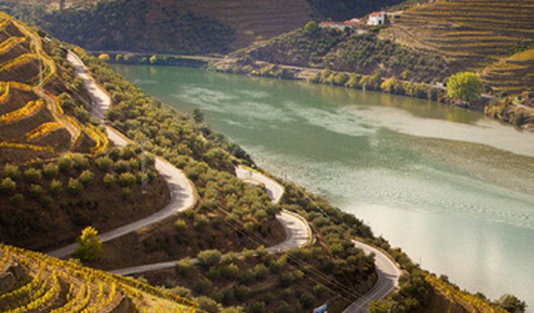 Terraced vineyards along the Douro River
